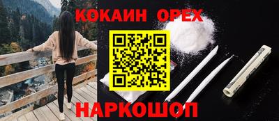 крисы Будённовск